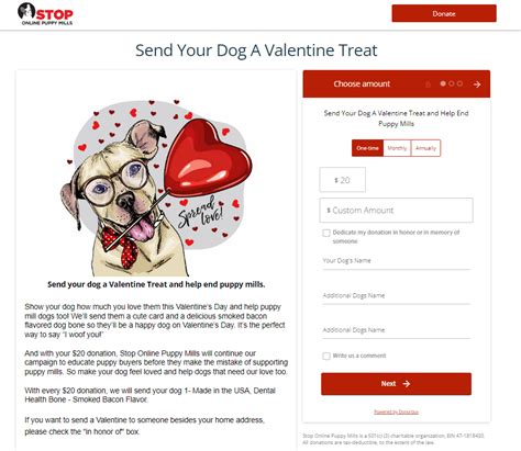 9 Valentine's Day Fundraisers to Try This February.